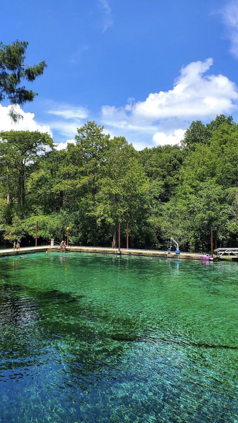 Hart springs 