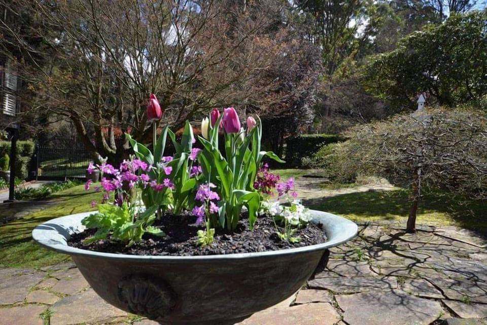 Wander the beautiful English garden