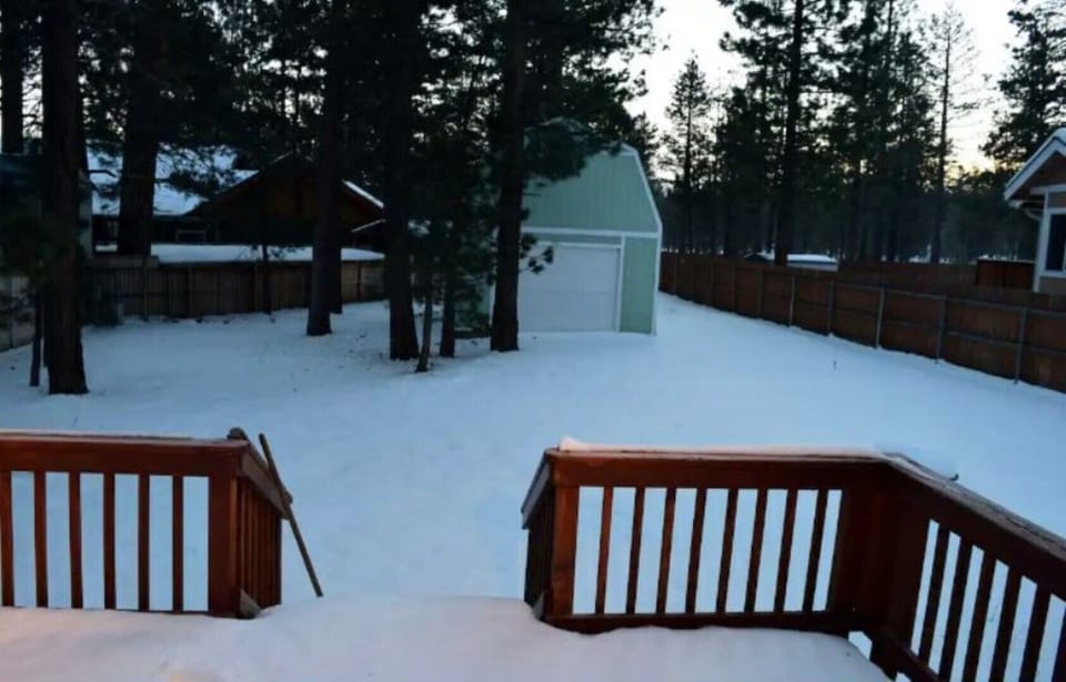 Backyard snowl