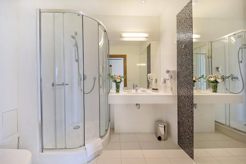 Deluxe Double or Twin Room | Bathroom | Shower, hair dryer, towels, soap