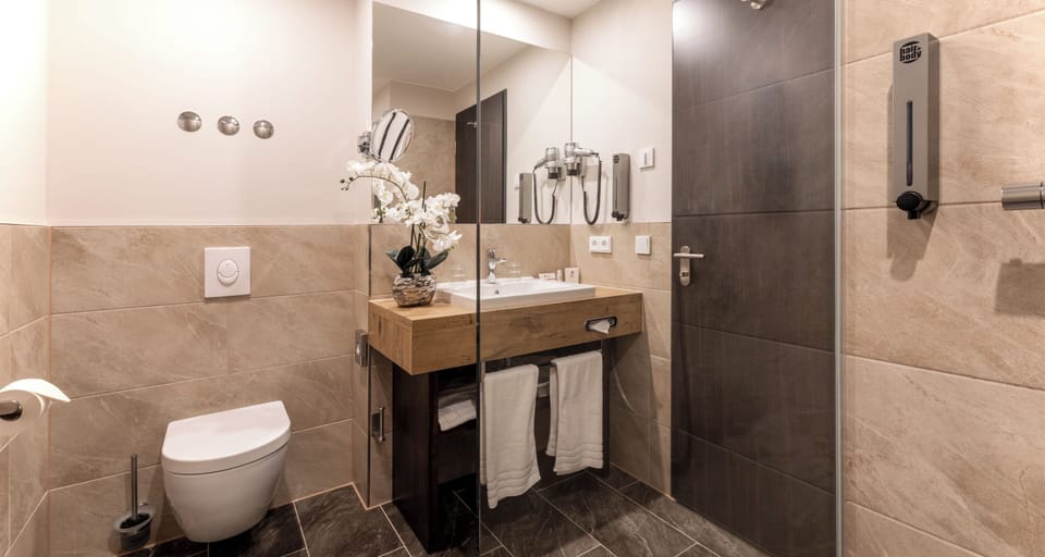 Premium Double Room | Bathroom | Shower, free toiletries, hair dryer, towels