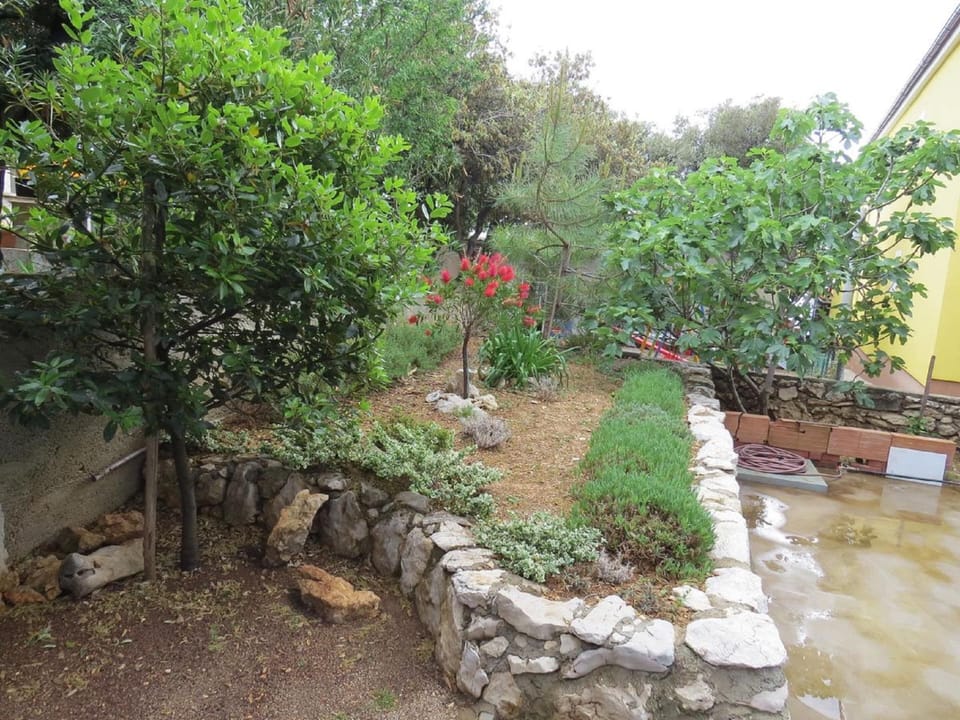 Apartment | Garden