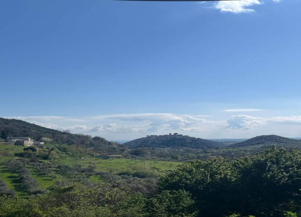 House | View from property