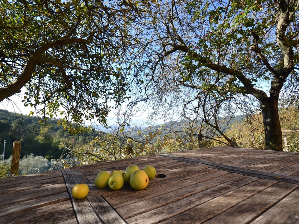 House | Interior detail