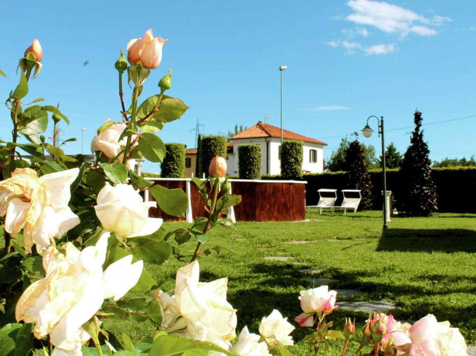 House | Garden