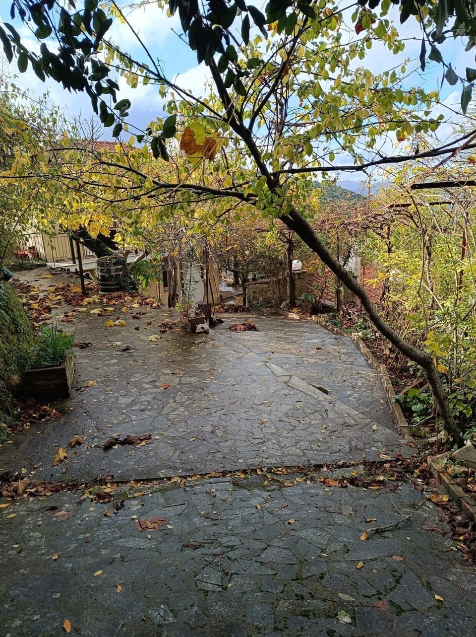 House | View from property
