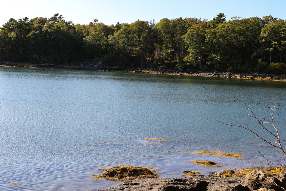 Contention Cove