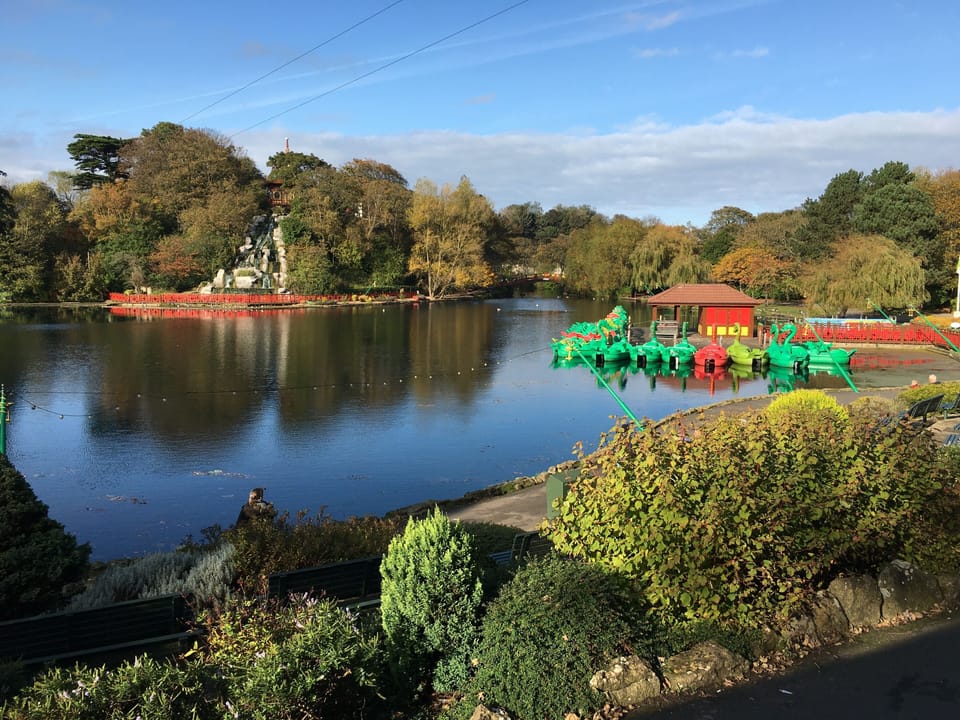 5a69c98e-8ff0-4faf-8209-00243640846c