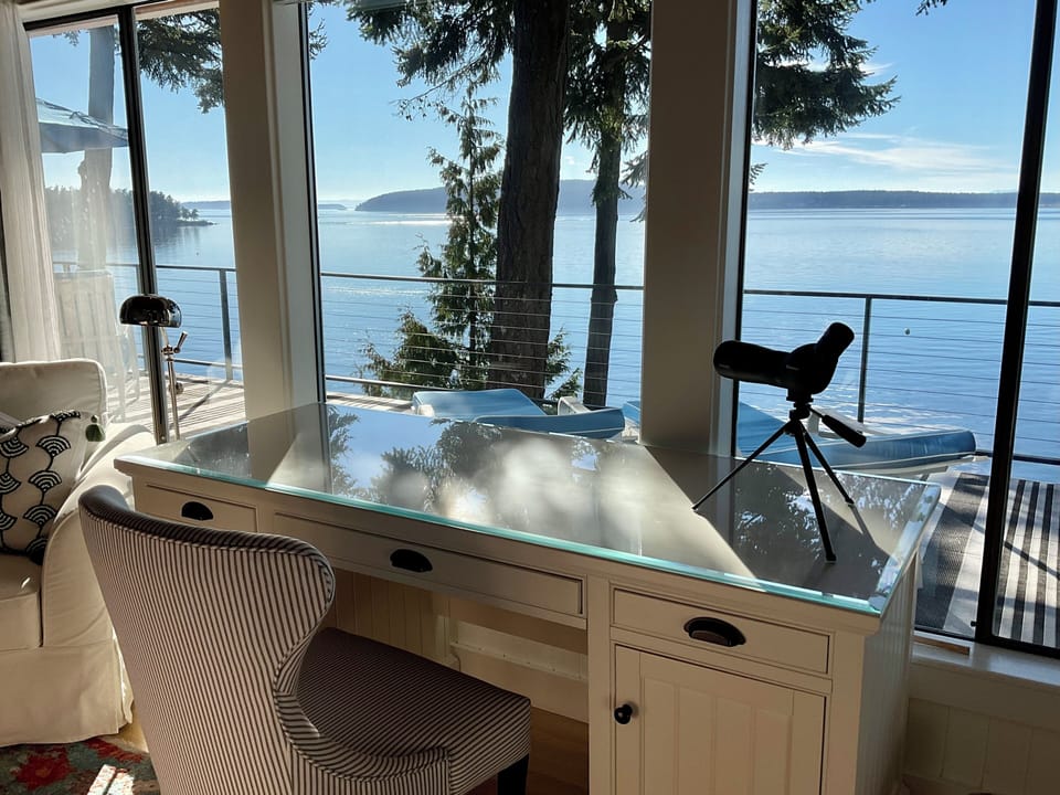 Master  -  Spotting scope to observe seals, otters, puffins and occasional Orcas