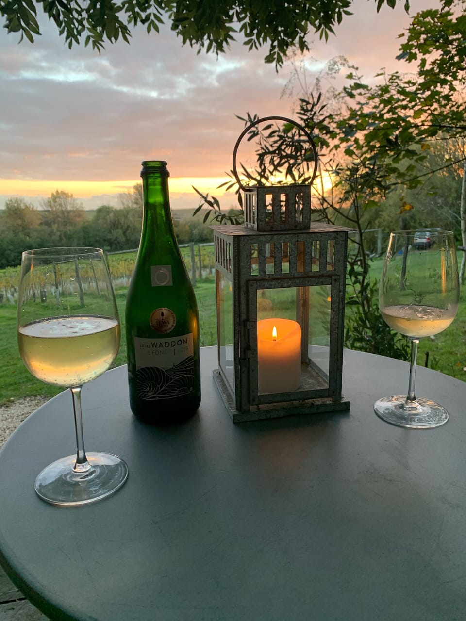 Little Waddon Vineyard award wining 'Col Fondo' 2018 outside the Cabin