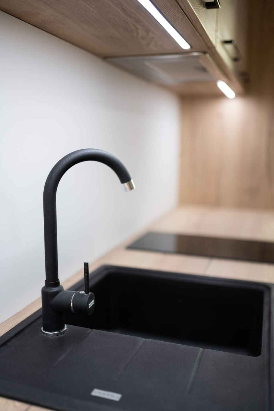 Superior Apartment, 1 Bedroom, Kitchen (5) | Private kitchen | Electric kettle