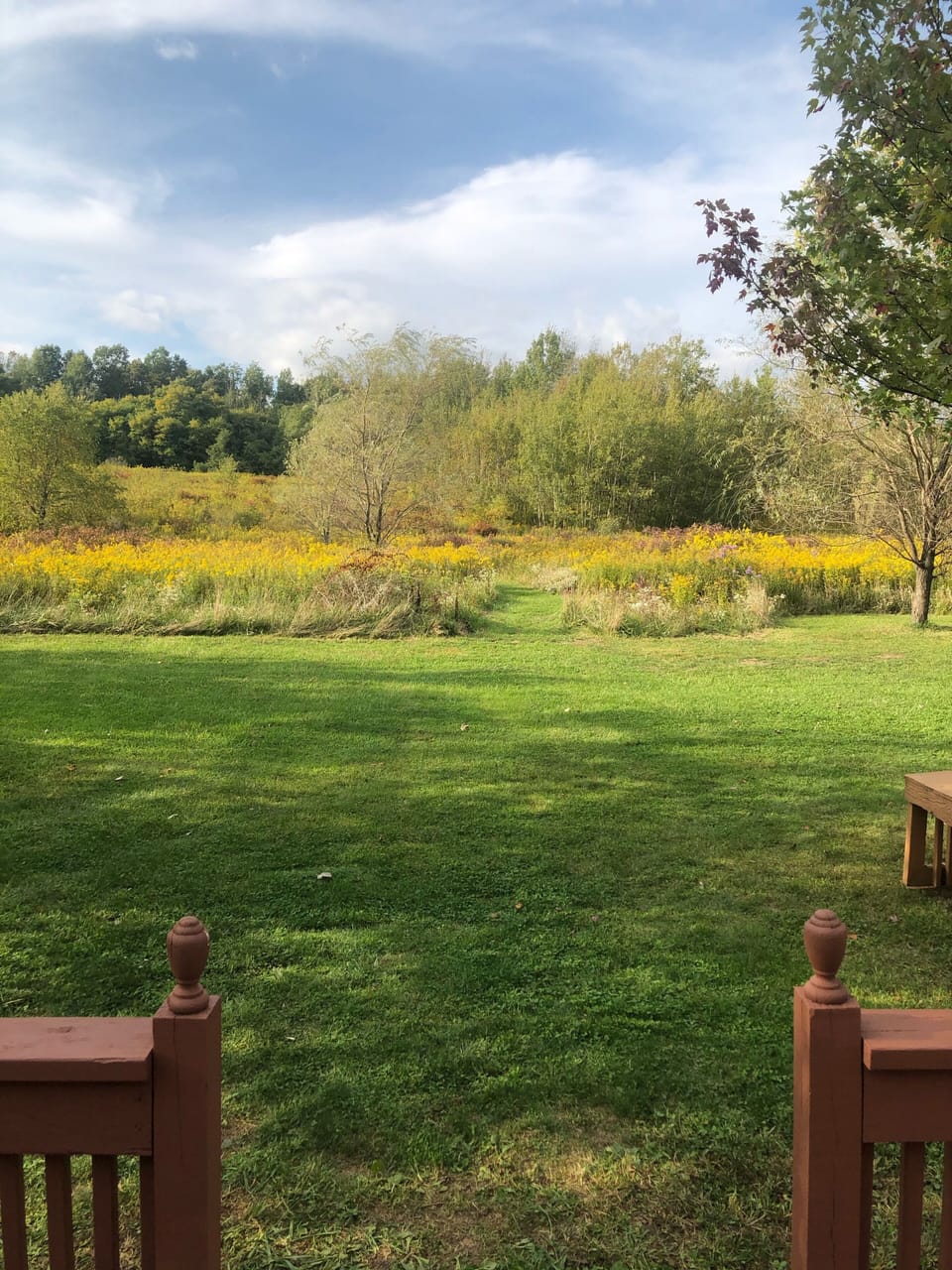 View from the back porch