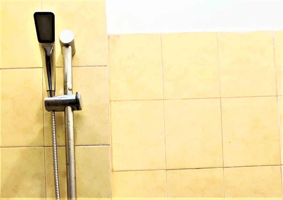 Deluxe Room | Bathroom | Shower, free toiletries, bidet, towels