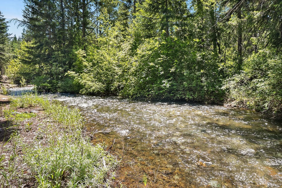 Highlander Lodge: - Silver Creek in June 2021. The creak is seasonal and typically dries up at some point in July.