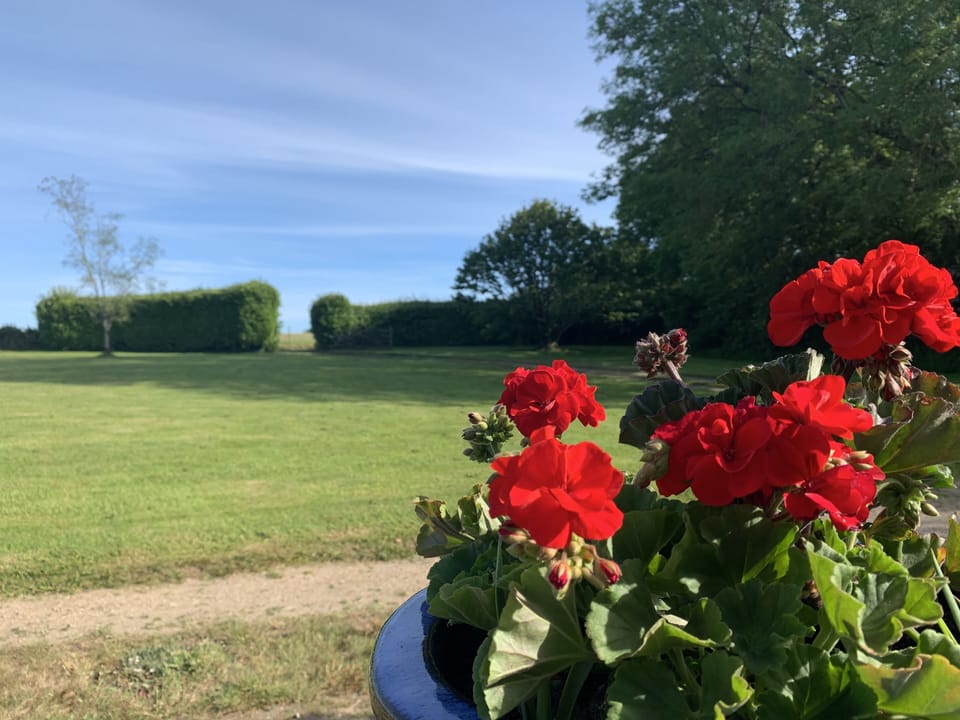 Large front garden