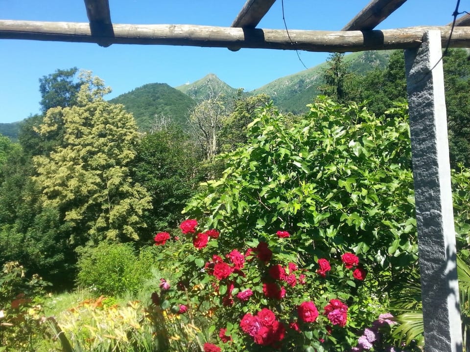 House, 2 Bedrooms, Patio | Garden