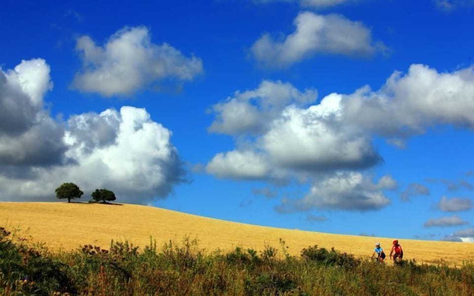 Bicycling