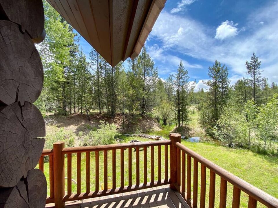 View from Deck