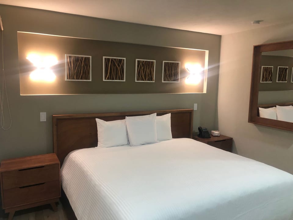 Standard king | Minibar, desk, blackout drapes, free WiFi