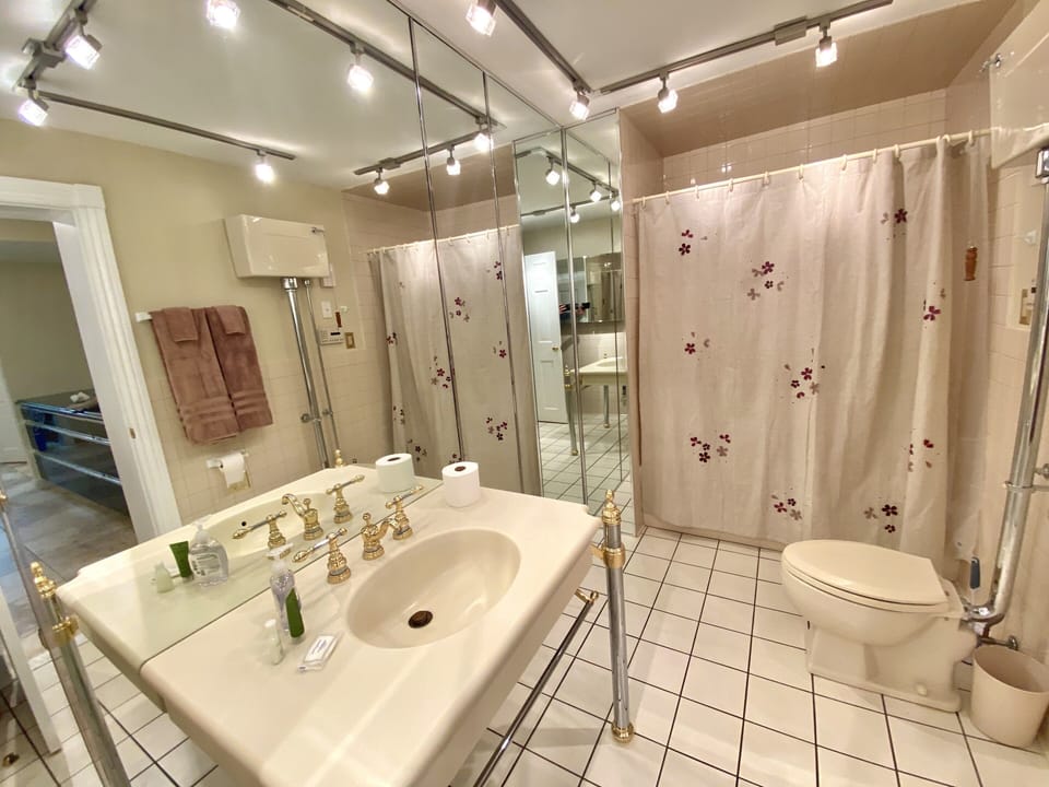 Downstairs Master Bath