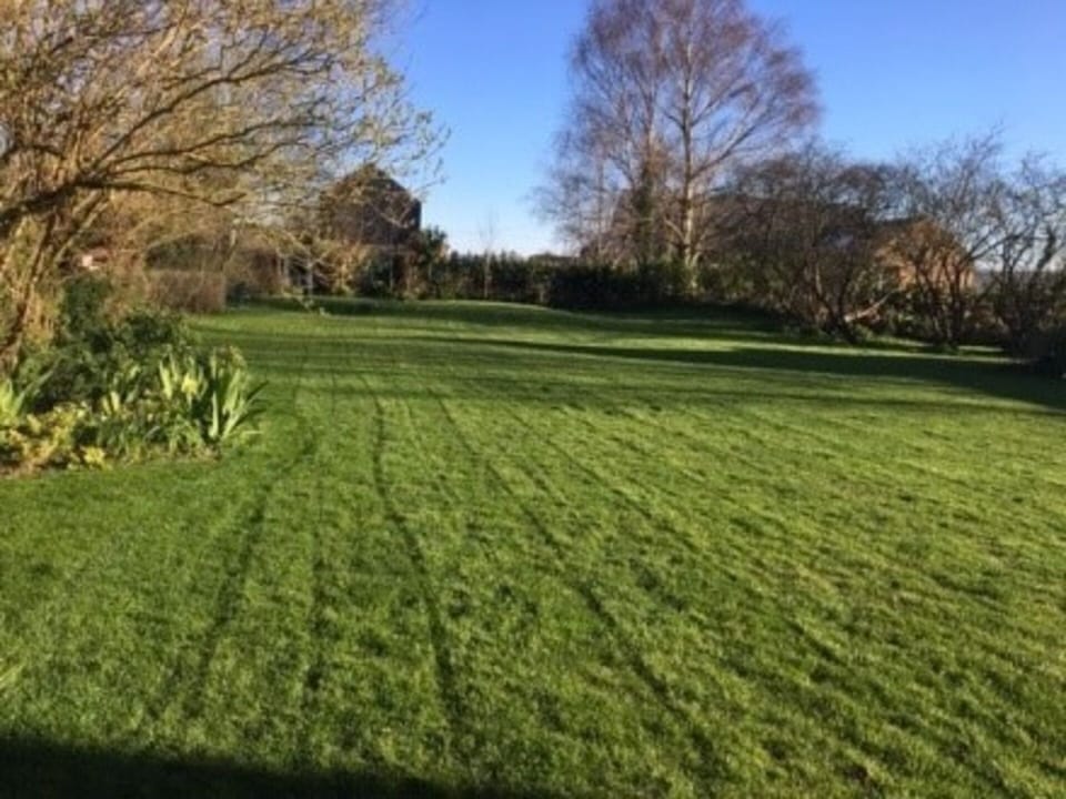 House | Property grounds