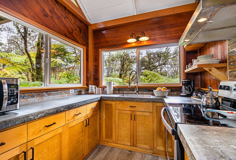 Kitchen with Forest Views