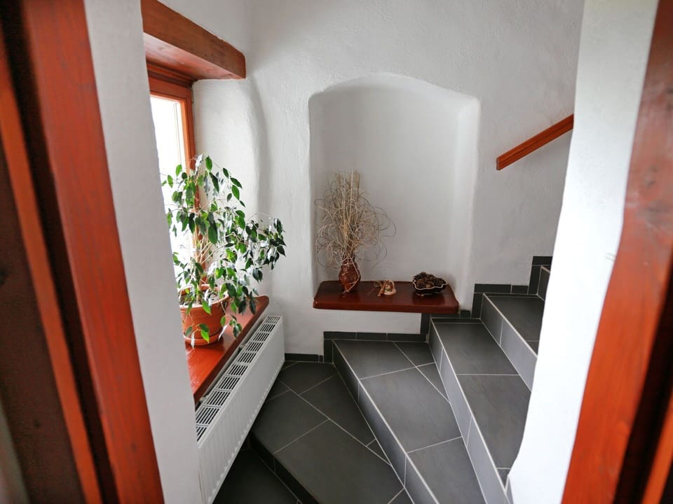 Property, Room, Architecture, House, Interior Design, Stairs, Building, Plant, Furniture, Hall