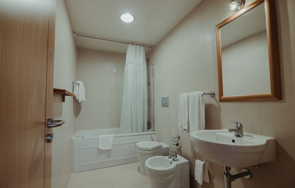 Standard Double Room | Bathroom | Free toiletries, hair dryer, towels