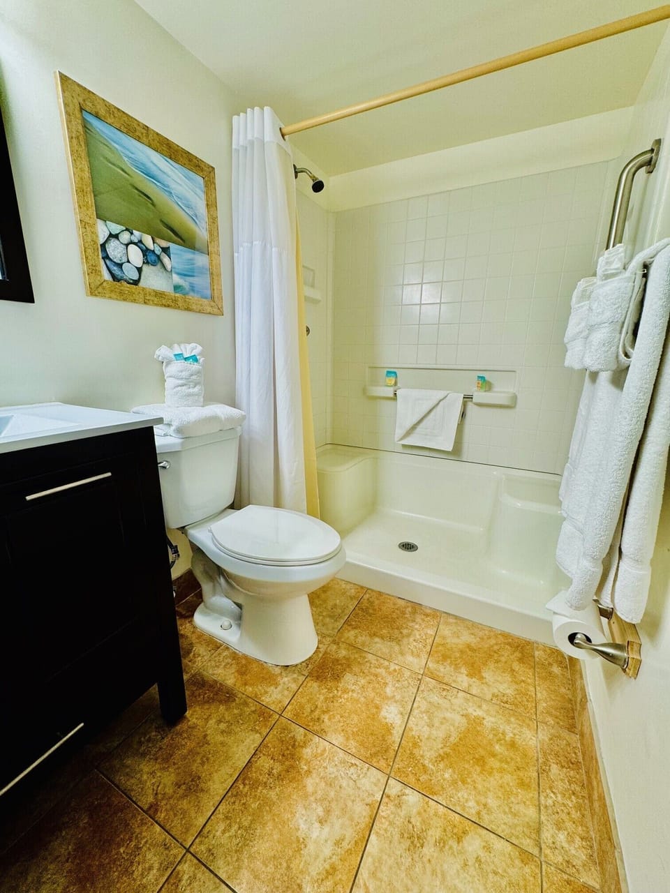 Combined shower/tub, free toiletries, hair dryer, towels