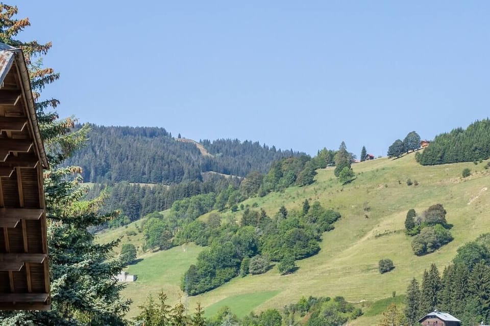Vue du balcon 1
