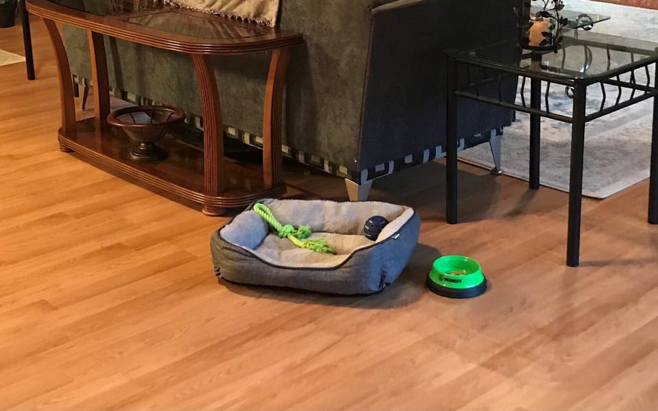 Pet friendly!  We love our fur babies!!!