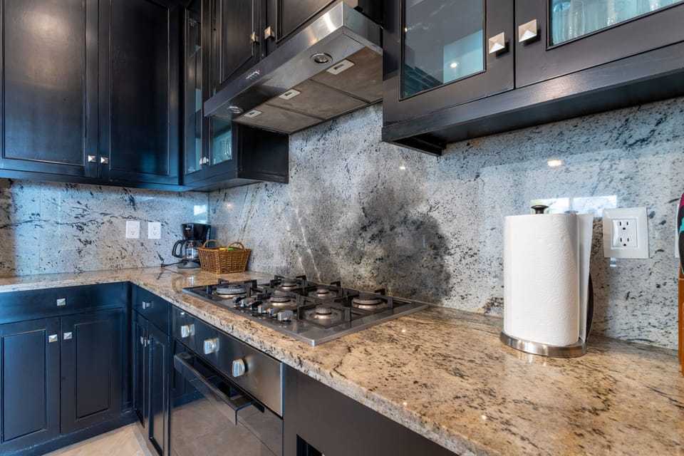 Gas range oven and stove