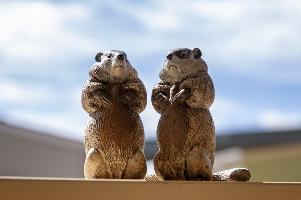 Our Founders