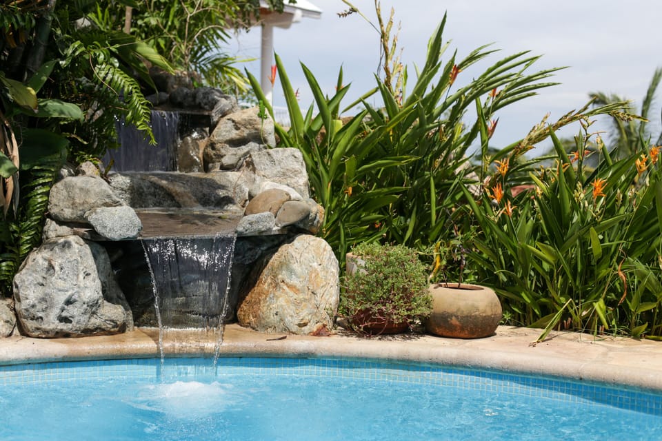Private heated (during cooler months) salt water pool surrounded by lush gardens