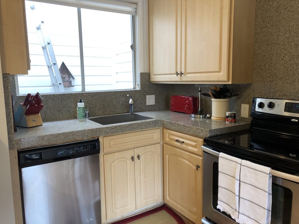 Kitchen has a dishwasher and electric stovetop and oven.