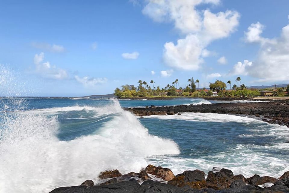 Watch the power of the Pacific as waves break against the shore.