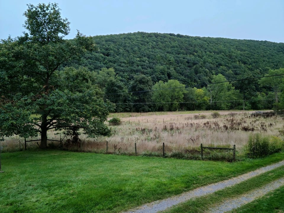 View from the 2nd story deck