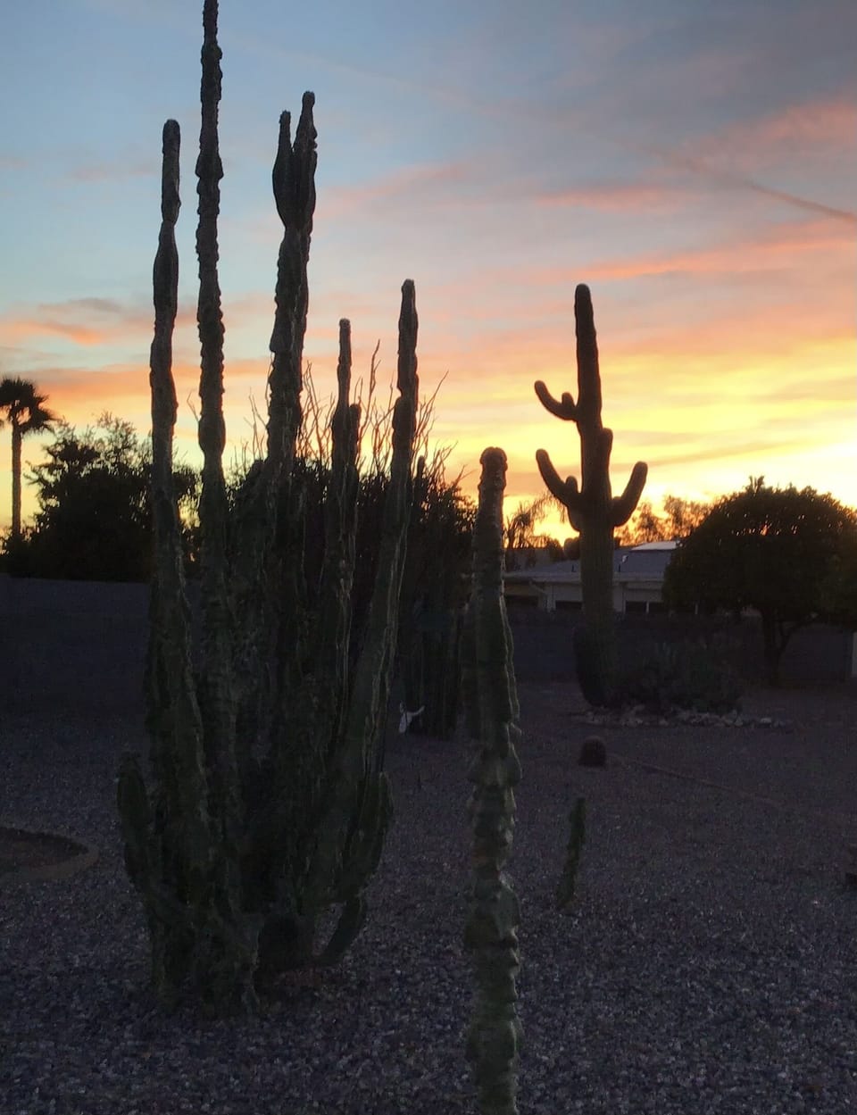Another relaxing sunset view