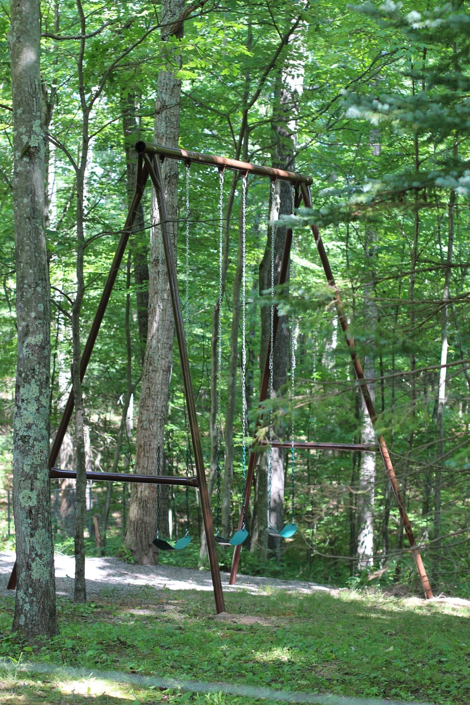Both young and old can enjoy the large swings just behind the cabin.