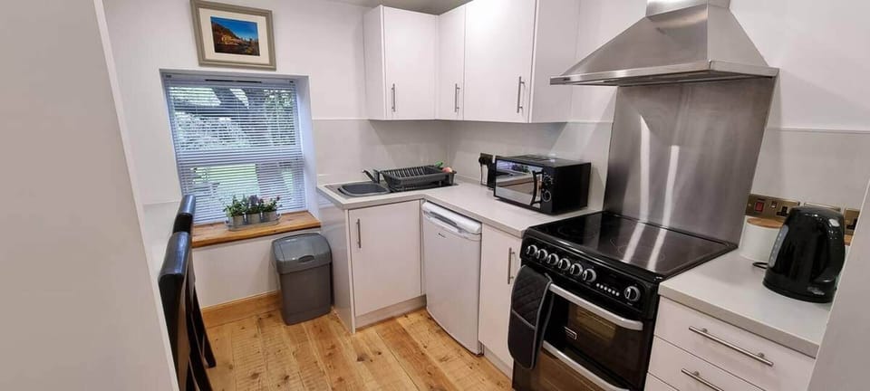 Apartment | Private kitchen | Fridge, microwave, oven, stovetop