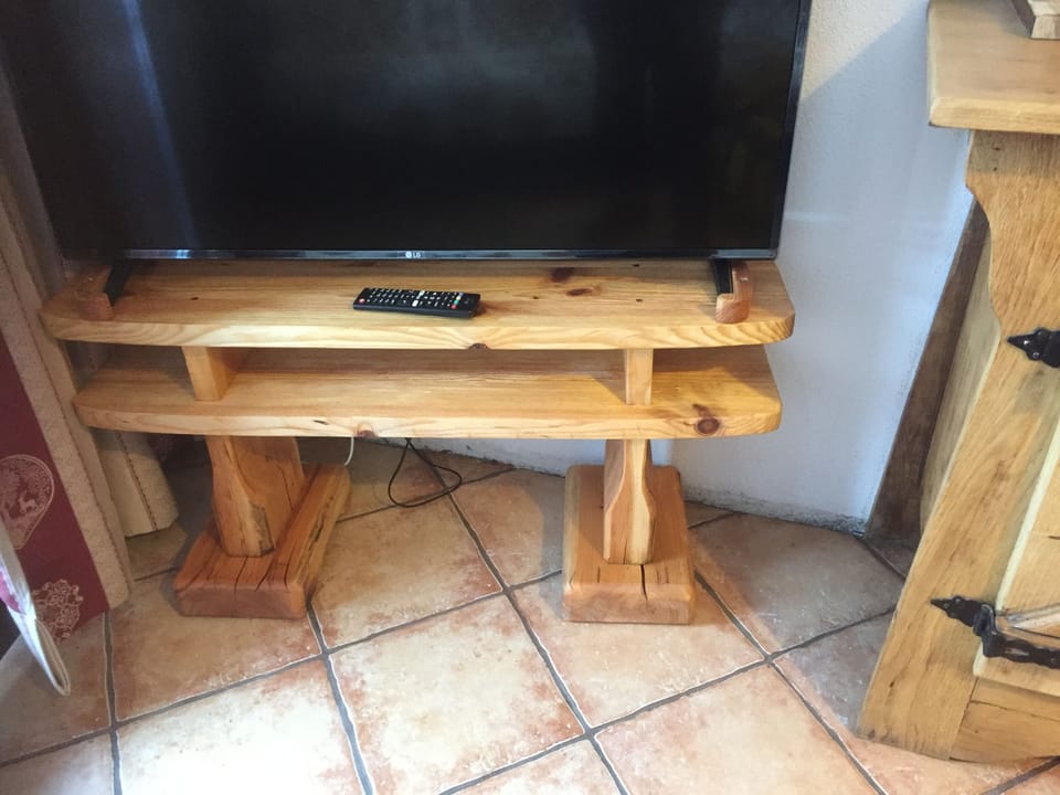 Television