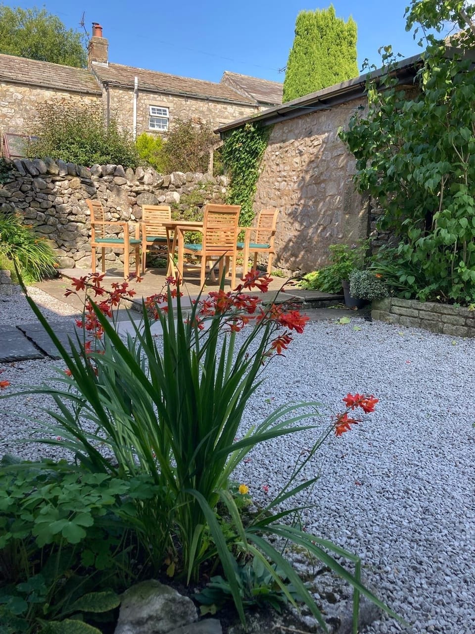 Backyard and patio seated area