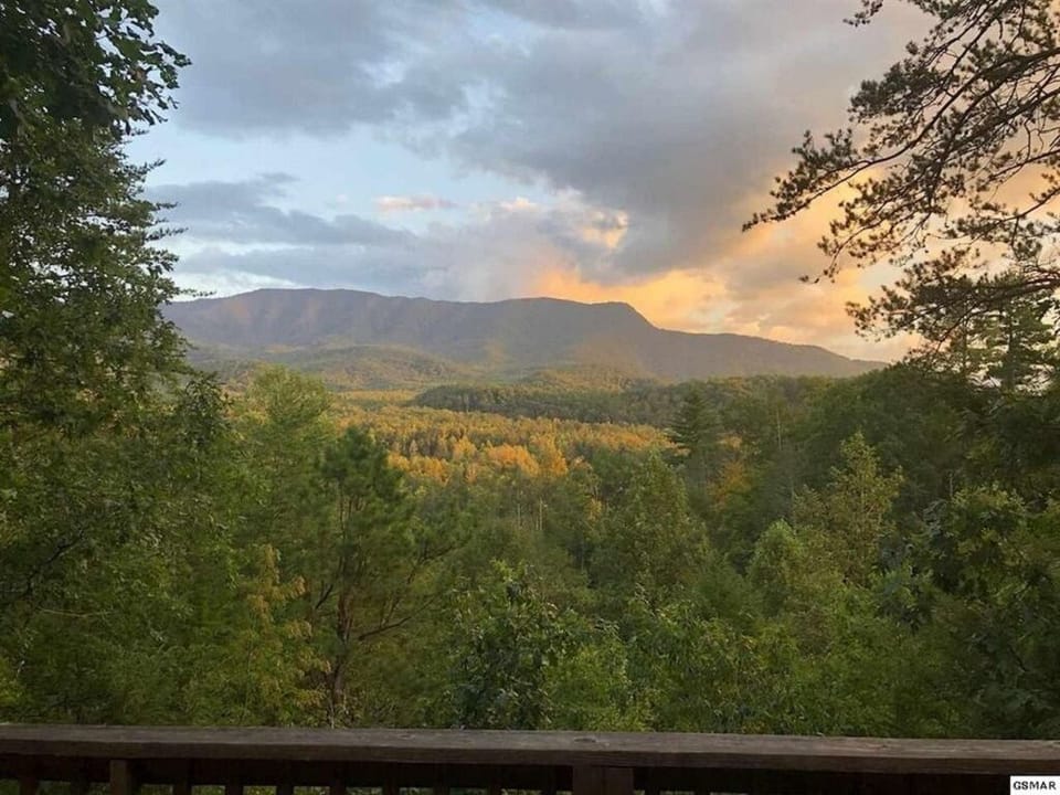 Mountain views - summer!  Mount LeConte is in the distance.
