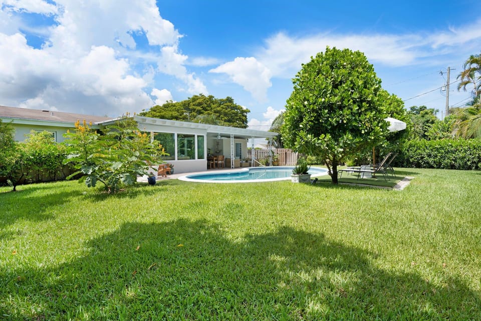 Very spacious and beautiful backyard