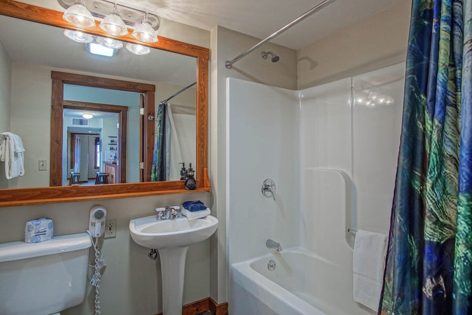 Master full bathroom