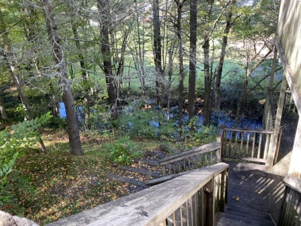 Creek view.