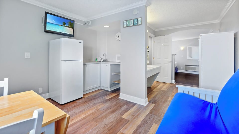 Kitchenette and Living Area