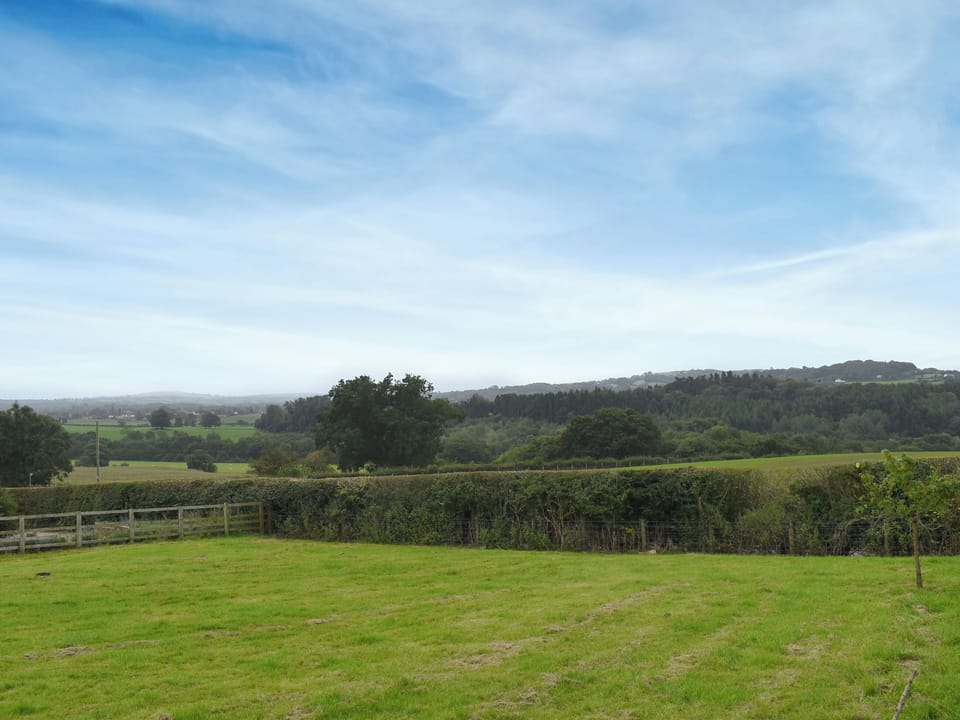 Garden and grounds | Black Lion Folly, Mold