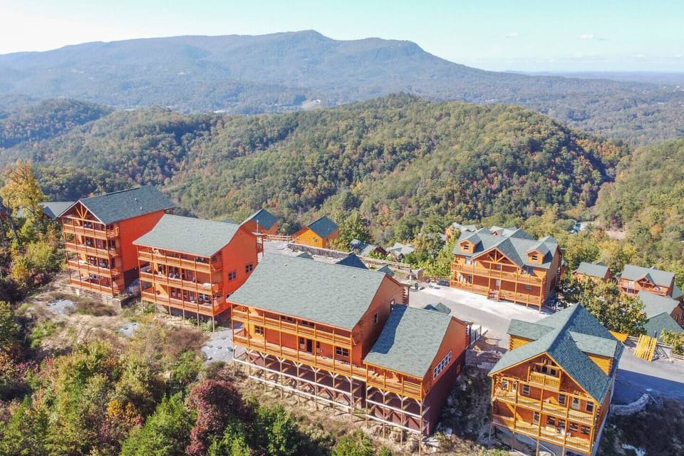Cabin back (drone)