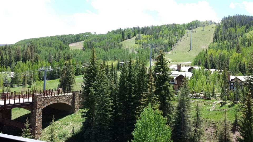 Condo (Vail_Lion_Square_652S) | Property grounds